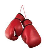 Boxing Kit