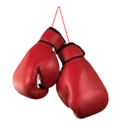 Boxing Kit