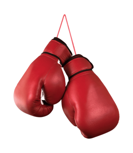 Boxing Kit