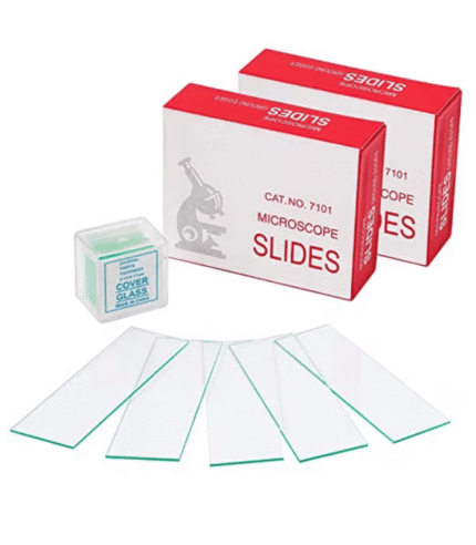 Prepared Microscope Slides Set with Wooden Storage Box 02